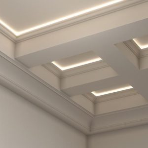 Suspended Ceiling